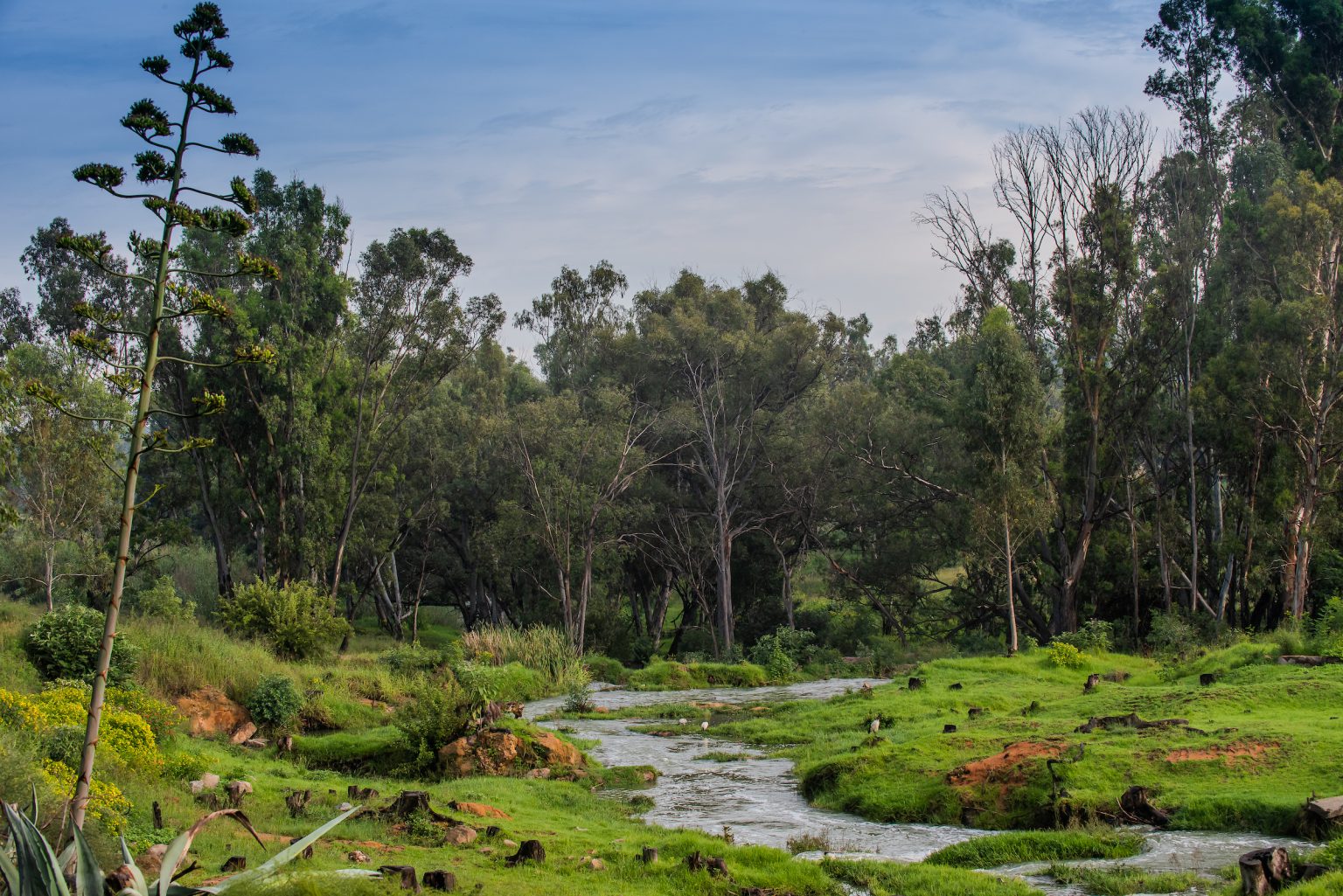 Home modderfonteinreserve
